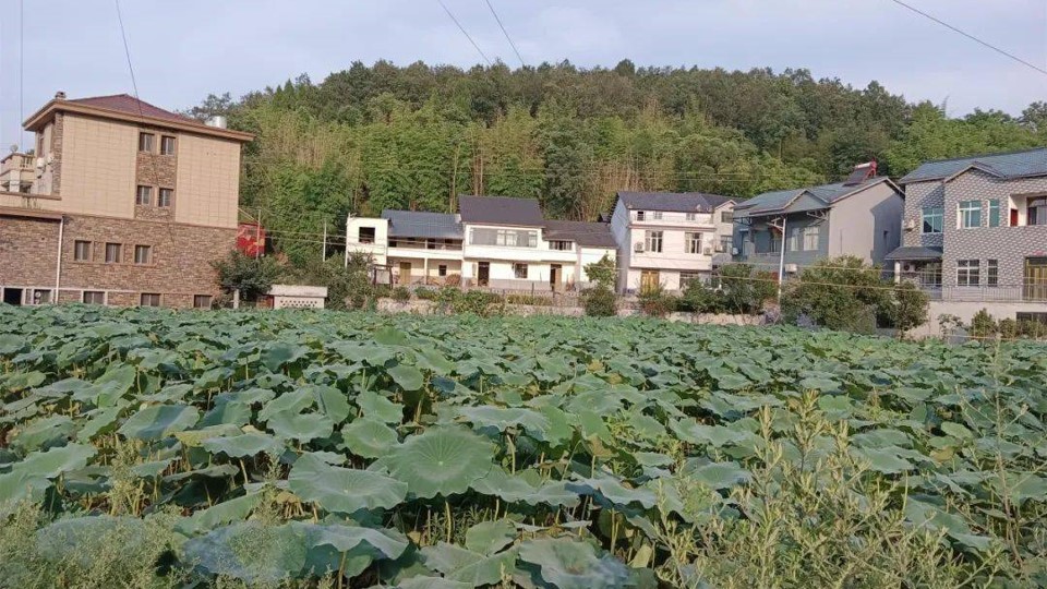 石马镇.jpg